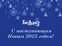 Поздравляем с наступающим Новым 2025 годом!